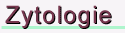Zytologie